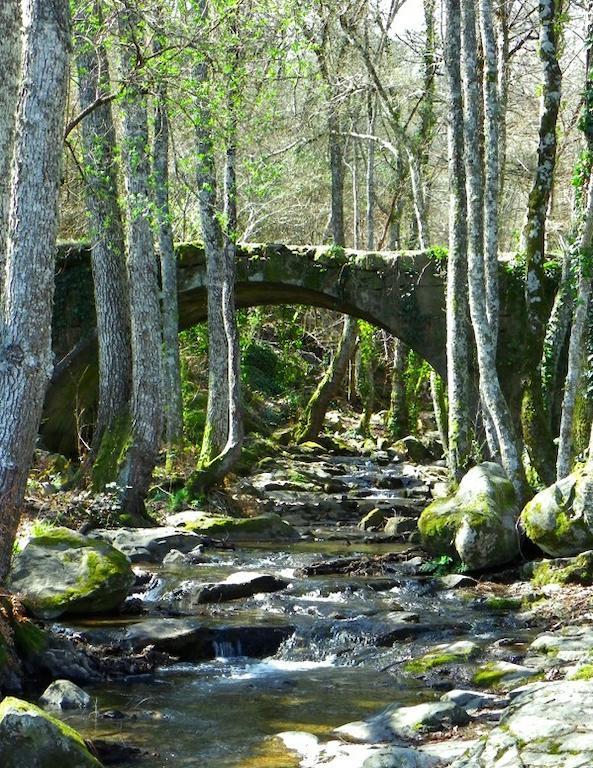 Casa Rural Amparo Mogarraz Bilik gambar