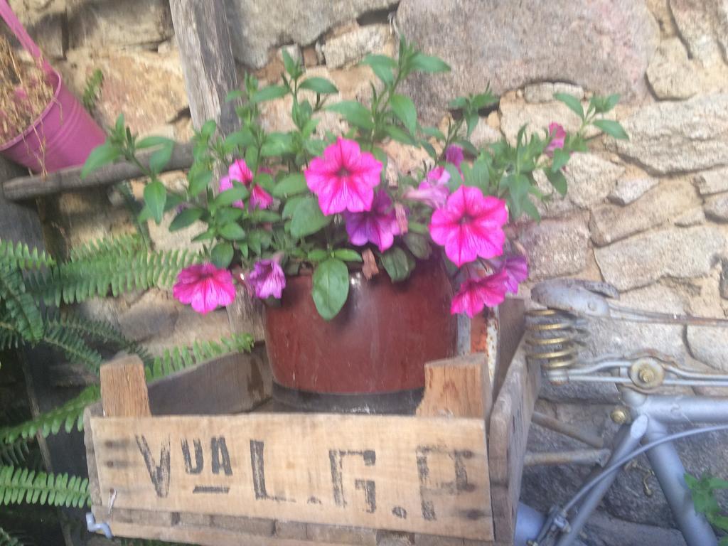 Casa Rural Amparo Mogarraz Luaran gambar