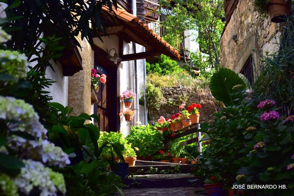 Casa Rural Amparo Mogarraz Luaran gambar